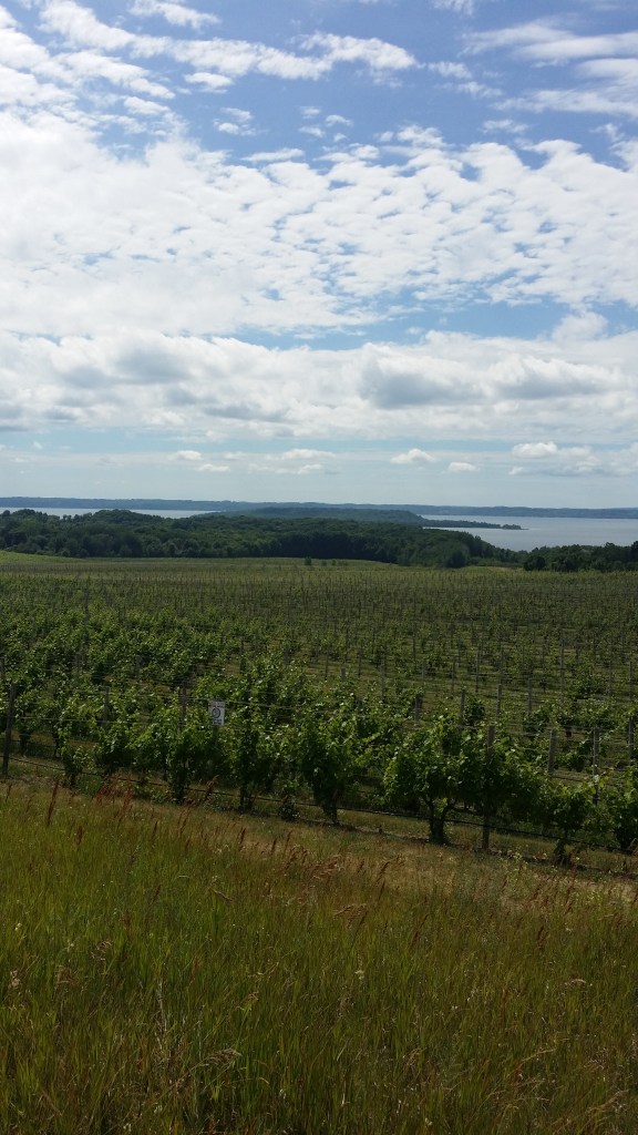 Vineyards at Chateau Grand Traverse
