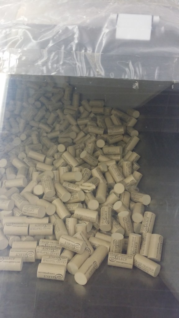 Grand Traverse Chateau