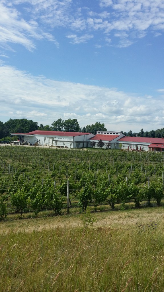 Grand Traverse vineyard