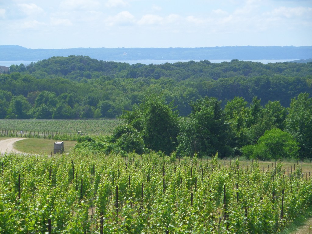 Grand Traverse vineyard