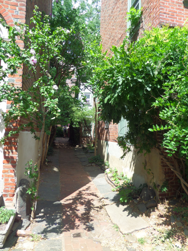 Elfreth's Alley