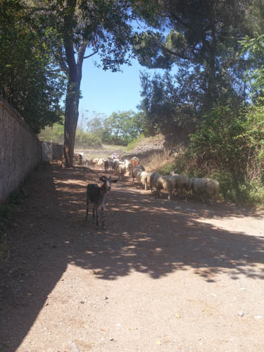 Appian Way, Rome, Italy