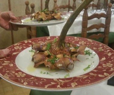 Fried artichoke of Rome