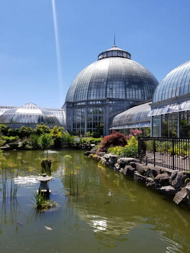 Belle Isle Conservatory in Detroit