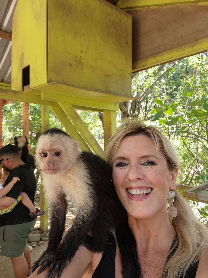 What to Do at the Roatan Cruise Port: Sloth Encounter – Roaming Historian